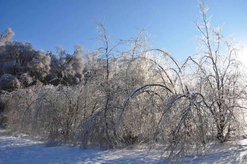 Крехів з panoramio.com - Крехів
