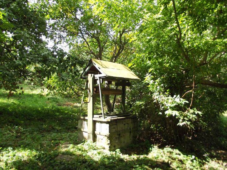 Романівка з panoramio.com - Романівка