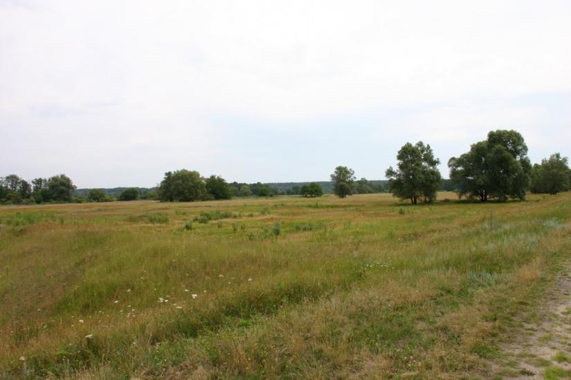 Курган з panoramio.com - Kurgan