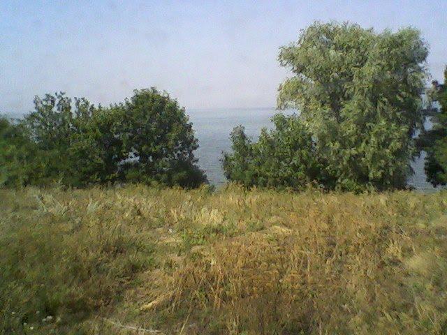 Малокатеринівка з panoramio.com - Malokaterynivka