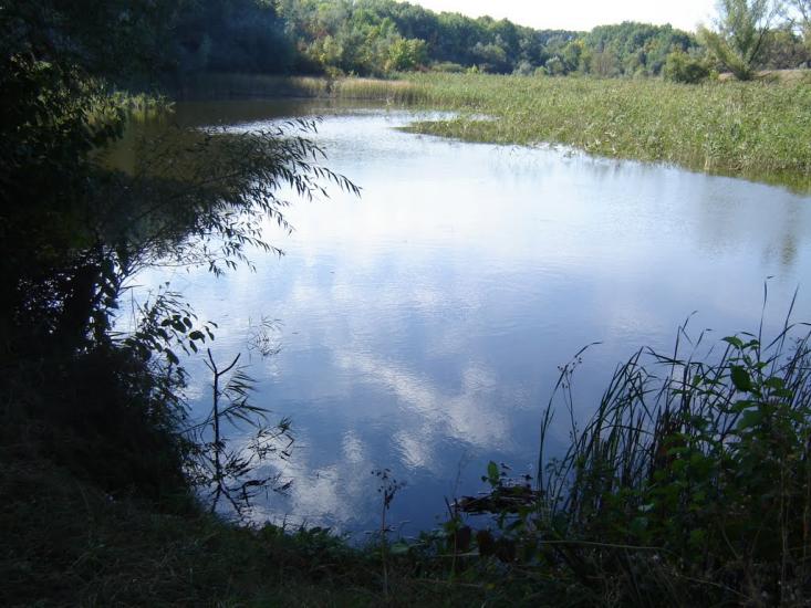 Кагарлик з panoramio.com - Кагарлык