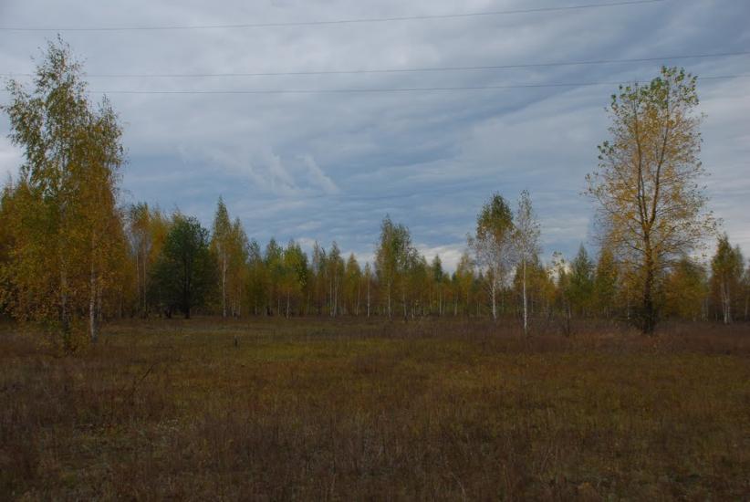 Остапівка з panoramio.com - Остапівка