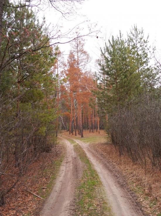 Воронове з panoramio.com - Вороново