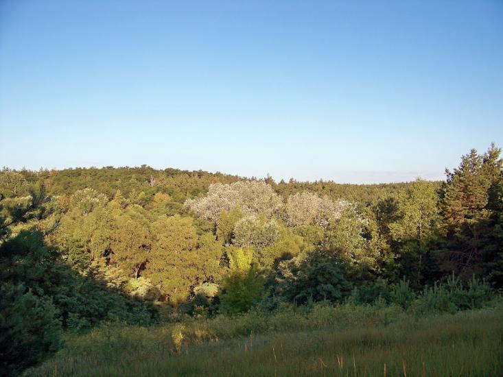 Балико-Щучинка з panoramio.com - Балыко-Щучинка