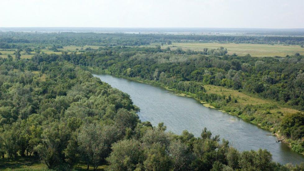 Берегове з panoramio.com - Береговое
