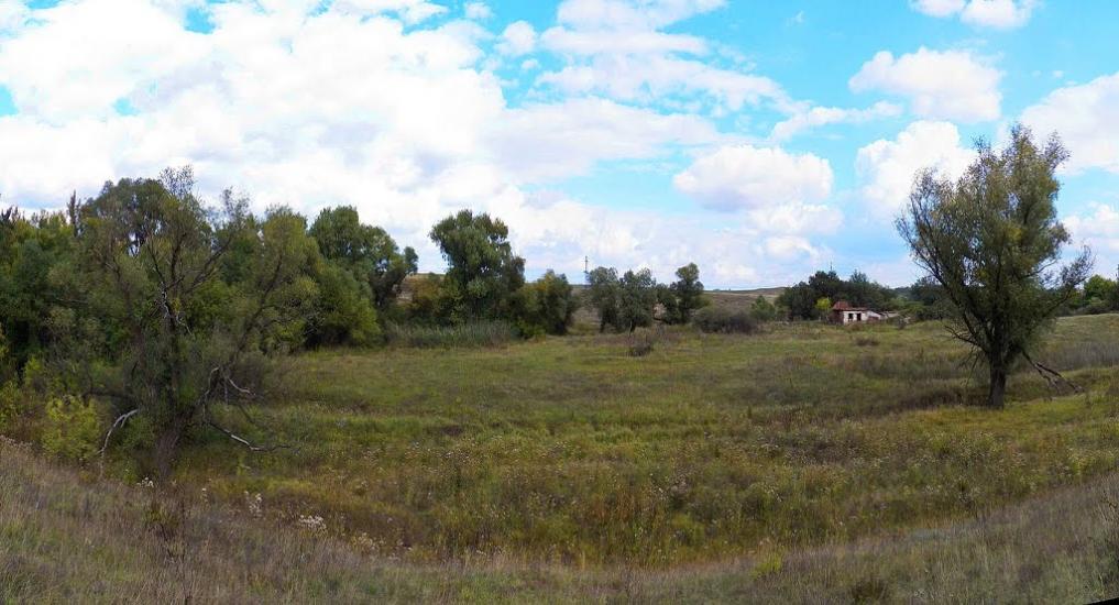 Лозове з panoramio.com - Лозовое