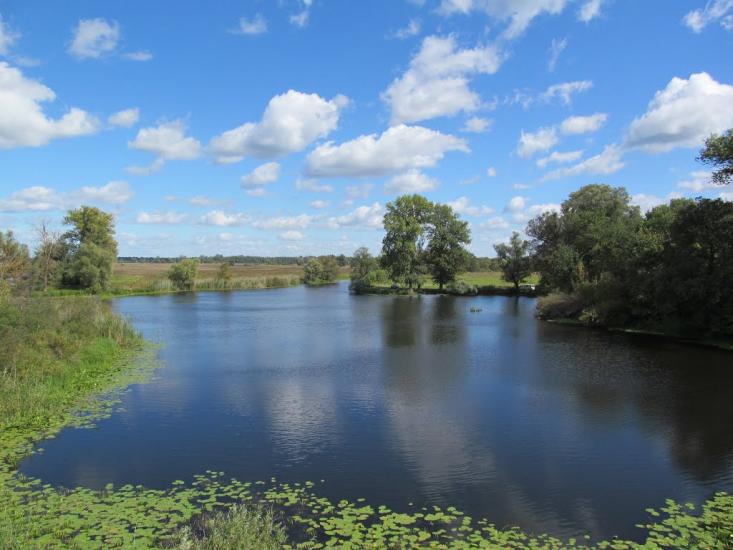 Карпилівка з panoramio.com - Карпилівка