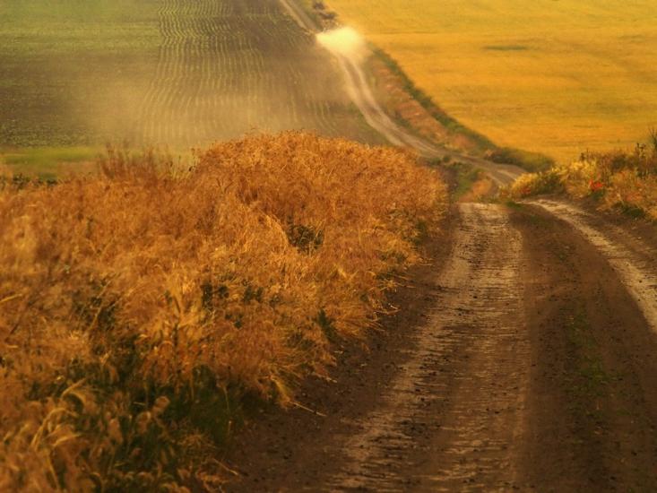 Переможне з panoramio.com - Переможное