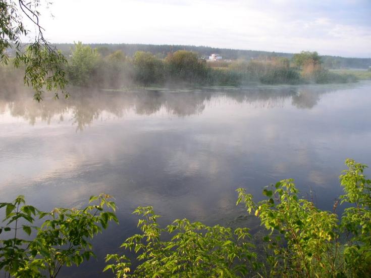 Задонецьке з panoramio.com - Zadonetske