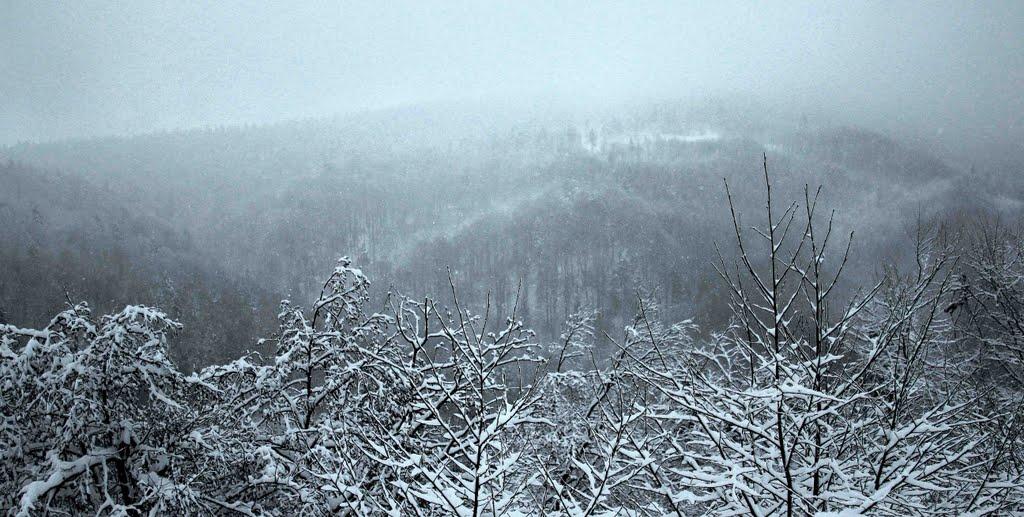 Сянки з panoramio.com - Сянки