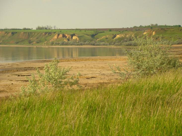 Красносілка з panoramio.com - Красноселка