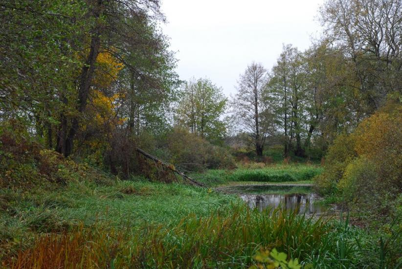Остапівка з panoramio.com - Остаповка