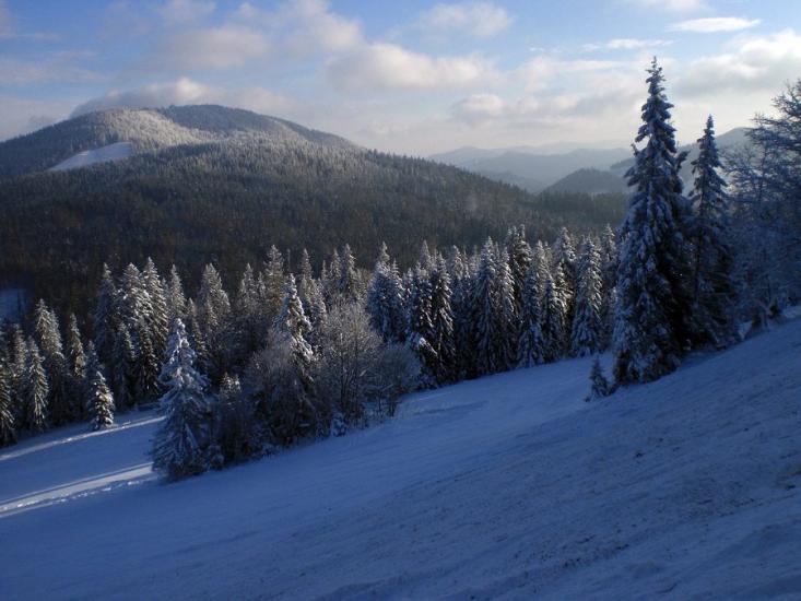 Сухий Потік з panoramio.com - Sukhyy Potik