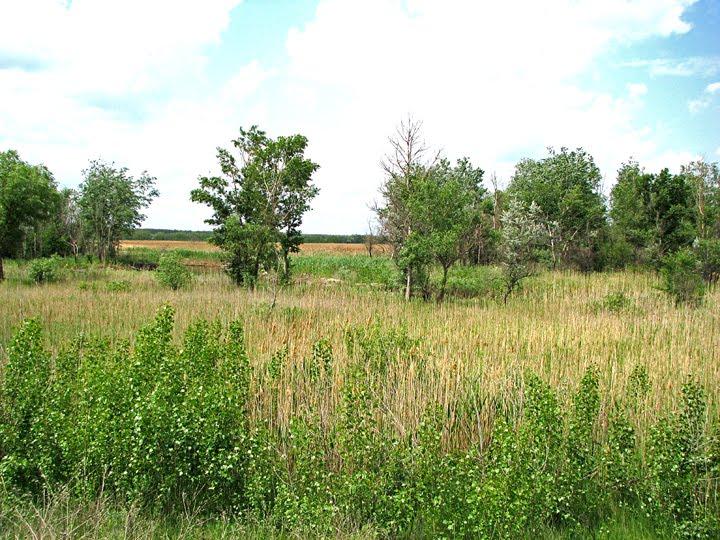 Гупалівка з panoramio.com - Гупаловка
