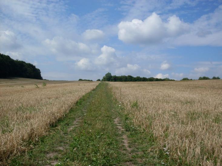 Молохів з panoramio.com - Молохов