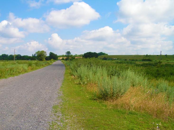 Харківці з panoramio.com - Харківці