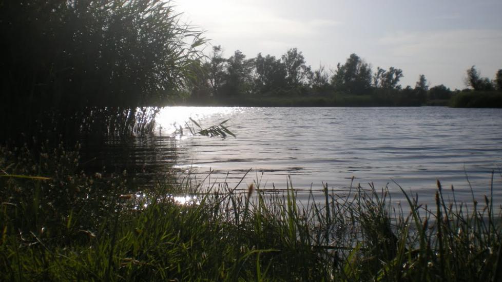 Кардашинка з panoramio.com - Кардашинка