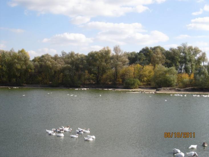 Донець з panoramio.com - Донець