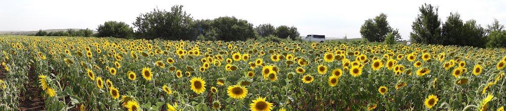 Благодатне з panoramio.com - Благодатное