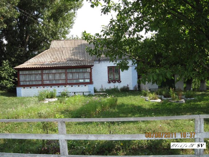 Галузинці з panoramio.com - Галузинцы