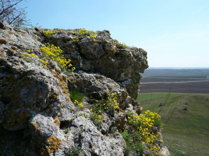 Нігин з panoramio.com - Nigyn