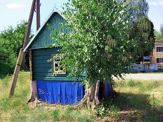 Кримка з panoramio.com - Кримка