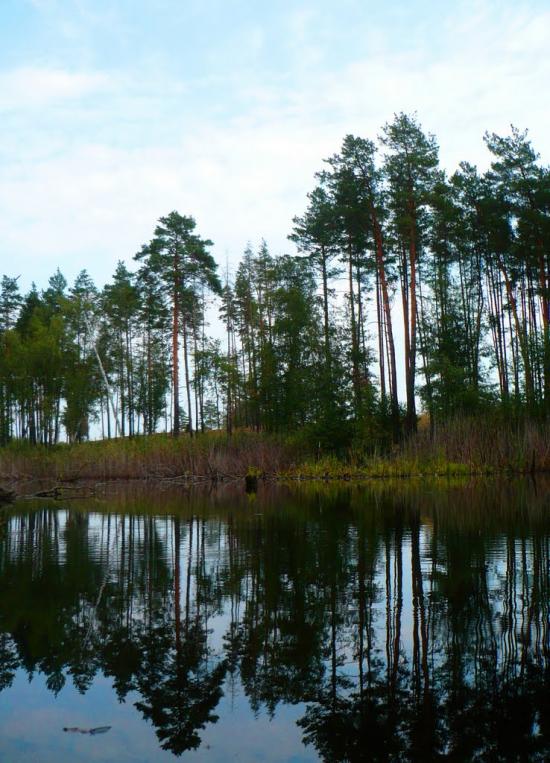 Райгородок з panoramio.com - Raygorodok