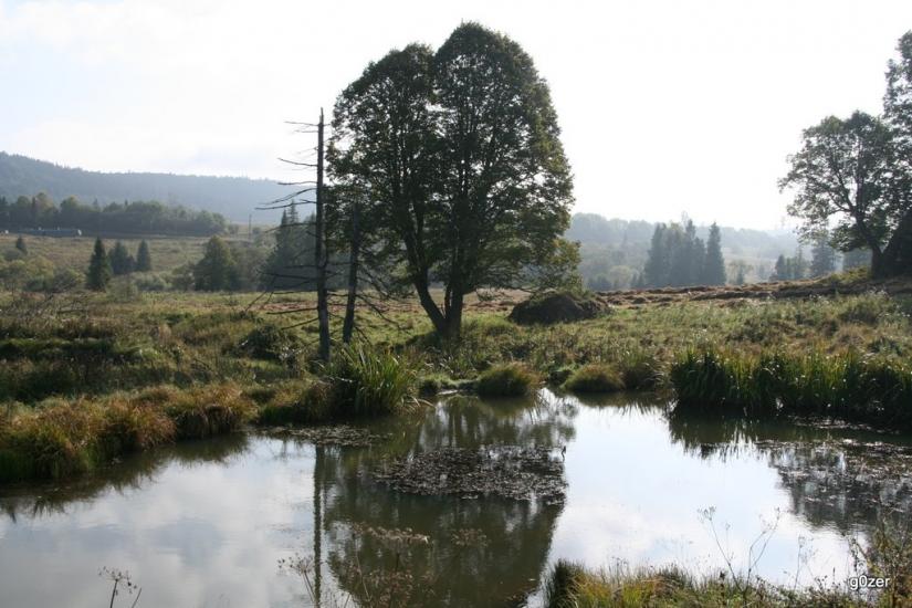 Біньова з panoramio.com - Binova