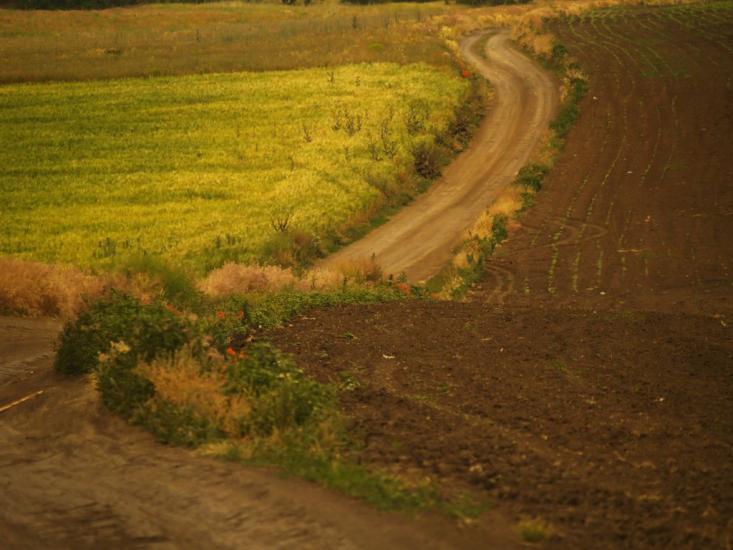 Переможне з panoramio.com - Переможное