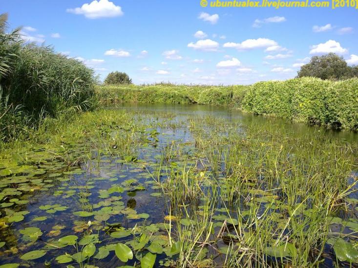 Гірськ з panoramio.com - Гірськ