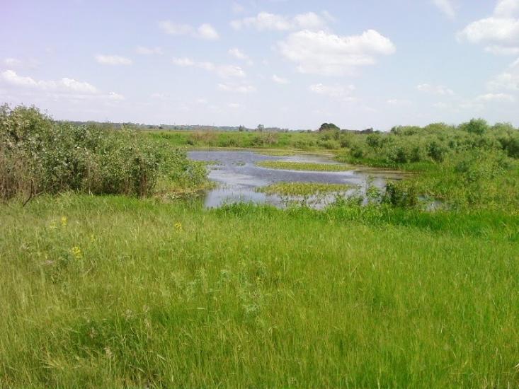 Коленці з panoramio.com - Коленці