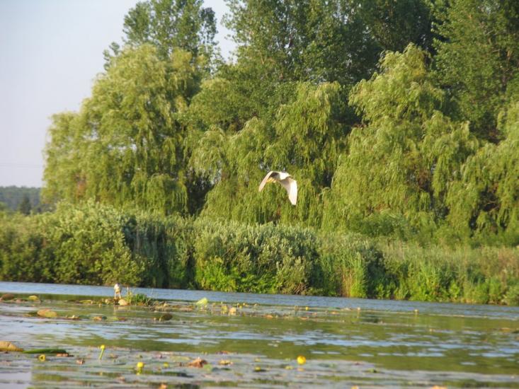 Бершадь з panoramio.com - Бершадь