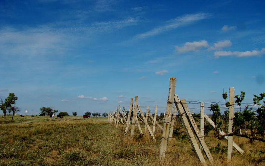 Медведеве з panoramio.com - Медведево
