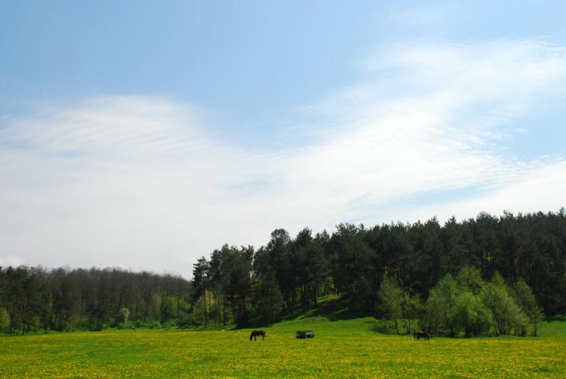 Суворовське з panoramio.com - Суворовське