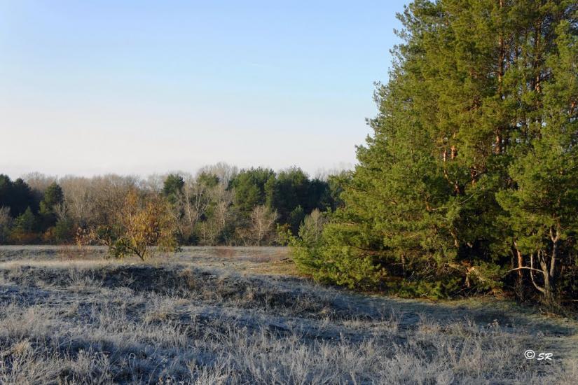 Шульгівка з panoramio.com - Шульговка