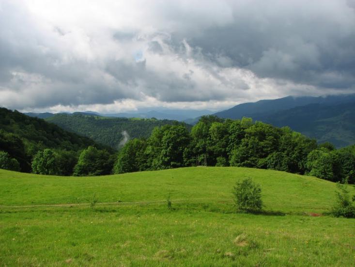 Кваси з panoramio.com - Квасы