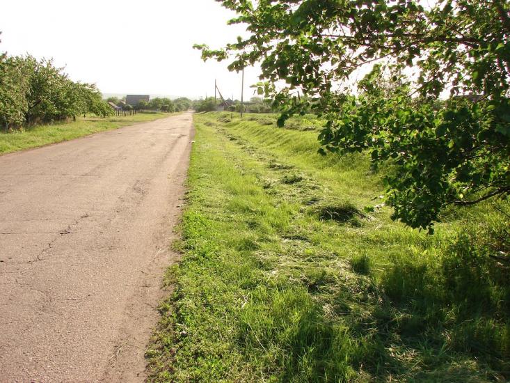 Дмитрівка з panoramio.com - Дмитровка