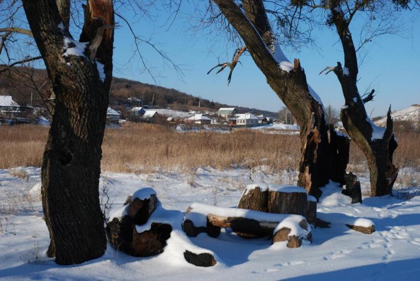 Задонецьке з panoramio.com - Zadonetske