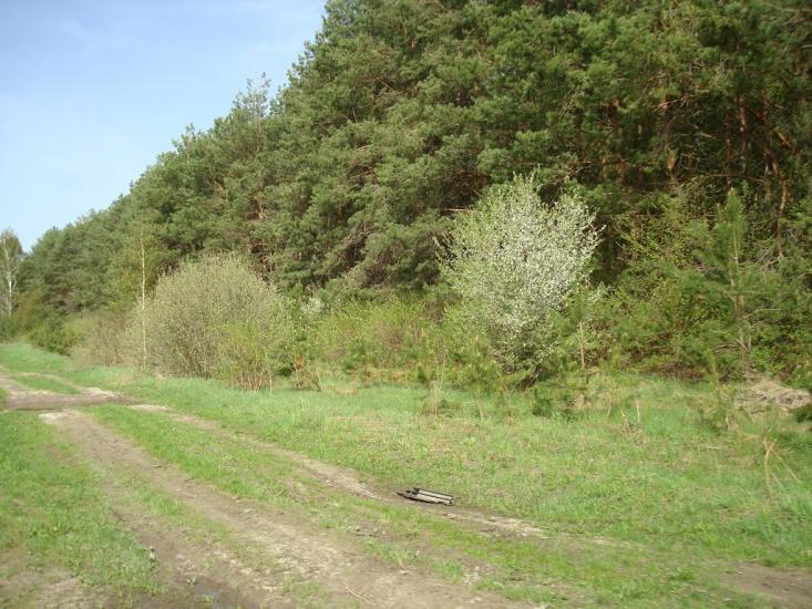 Вівчицьк з panoramio.com - Вовчицк