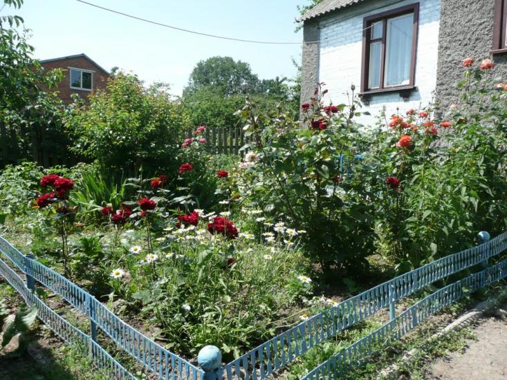 Мачухи з panoramio.com - Мачухи