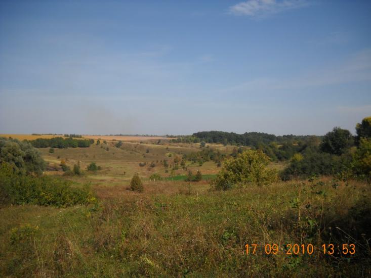 Мачухи з panoramio.com - Мачухи