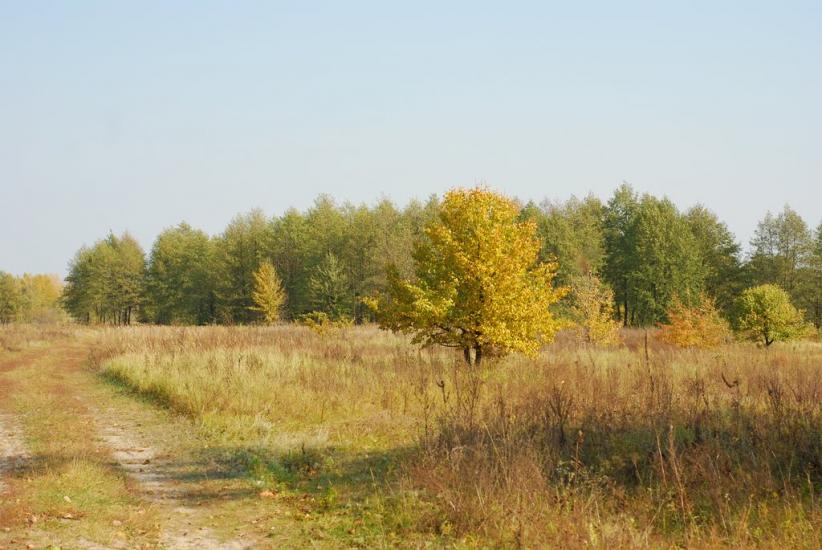 Макошине з panoramio.com - Макошино