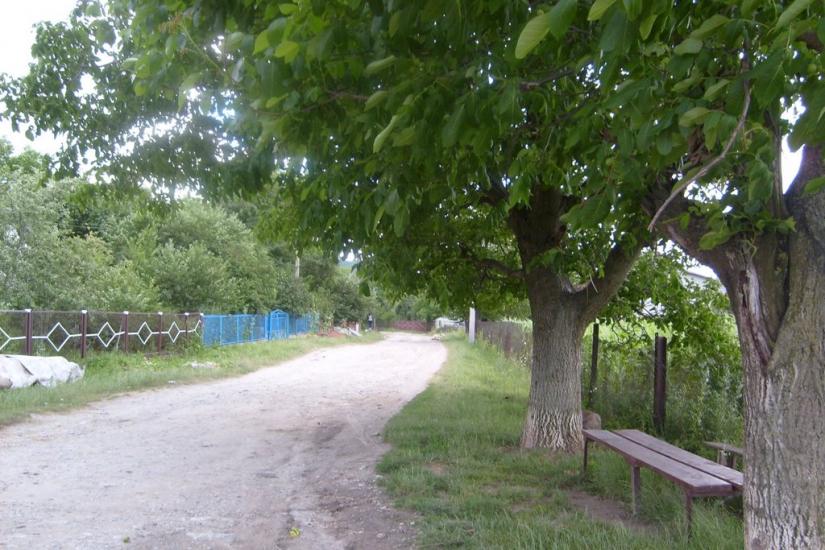 Біла з panoramio.com - Bila