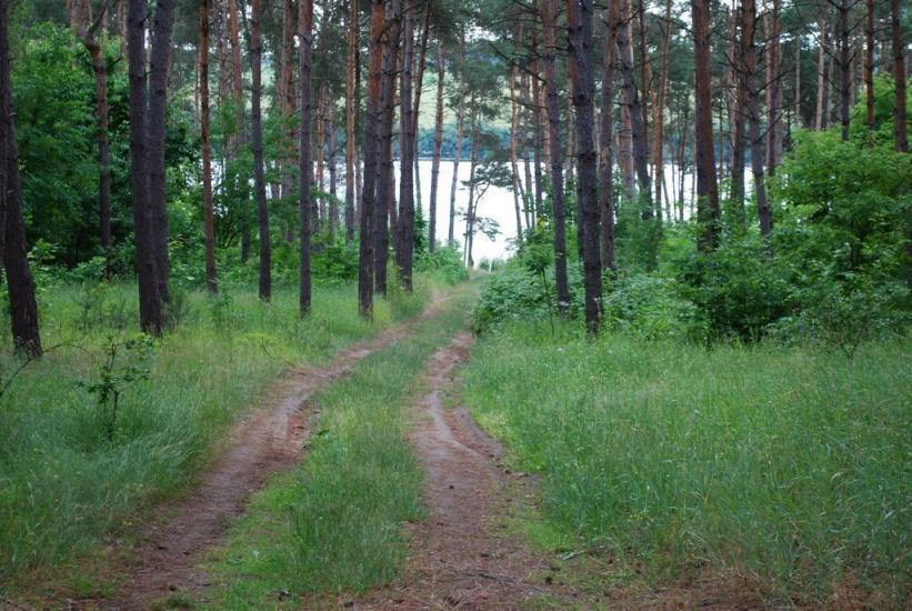Степашки з panoramio.com - Степашки