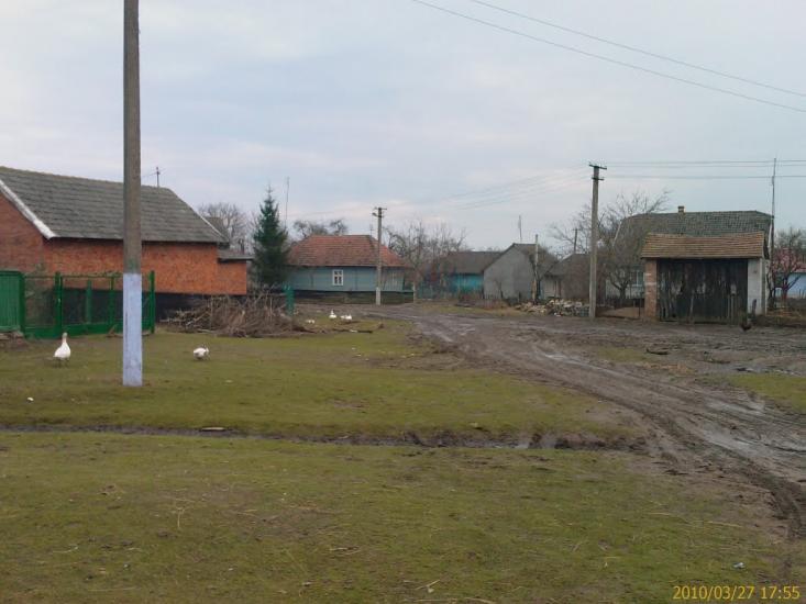 Чайковичі з panoramio.com - Чайковичи