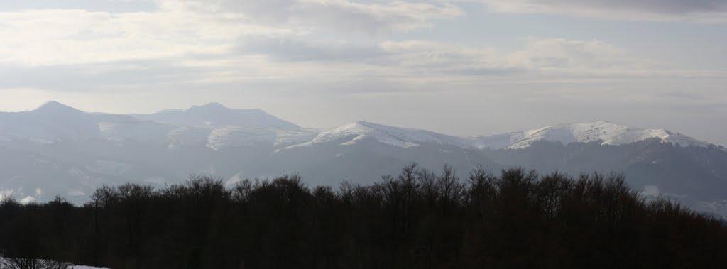 Скотарське з panoramio.com - Скотарське