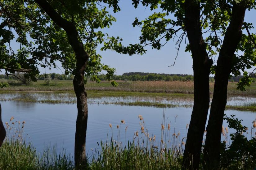 Йосипівка з panoramio.com - Йосипівка