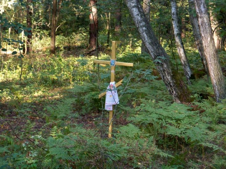 Кролевець з panoramio.com - Кролевець