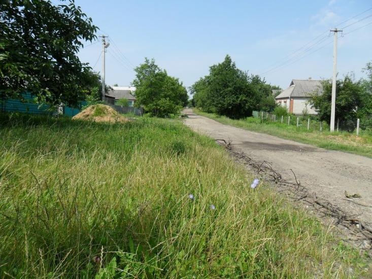 Вапнярка з panoramio.com - Вапнярка