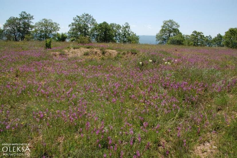 Холмівка з panoramio.com - Холмовка